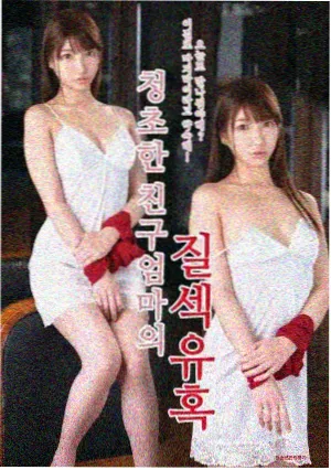 杉杉来了